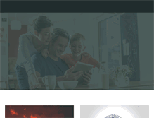 Tablet Screenshot of flameretardantfacts.com